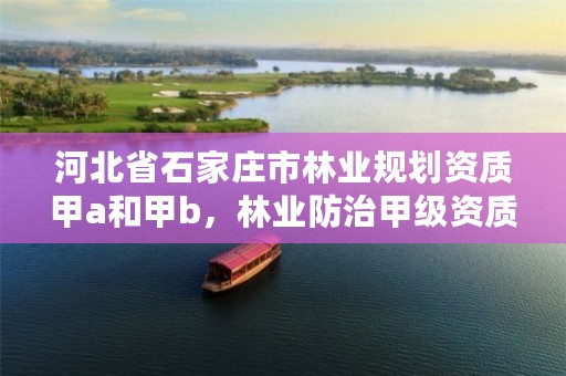 河北省石家庄市林业规划资质甲a和甲b,林业防治甲级资质证书