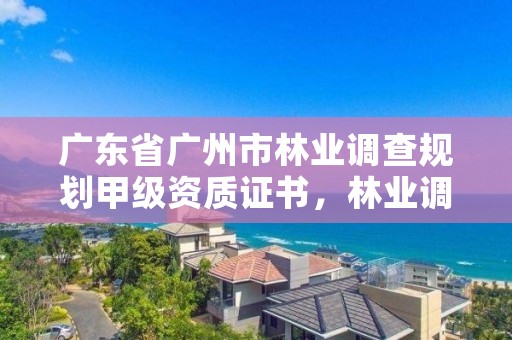 广东省广州市林业调查规划甲级资质证书，林业调查规划资质丙级和乙级的区别