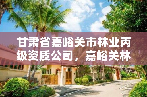 甘肃省嘉峪关市林业丙级资质公司,嘉峪关林业局长