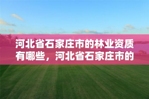 河北省石家庄市的林业资质有哪些,河北省石家庄市的林业资质有哪些企业