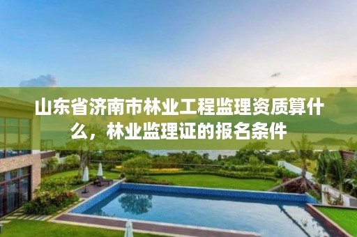 山东省济南市林业工程监理资质算什么,林业监理证的报名条件