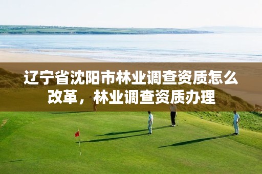 辽宁省沈阳市林业调查资质怎么改革，林业调查资质办理