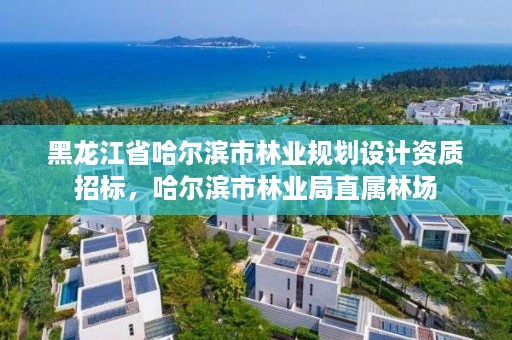 黑龙江省哈尔滨市林业规划设计资质招标,哈尔滨市林业局直属林场