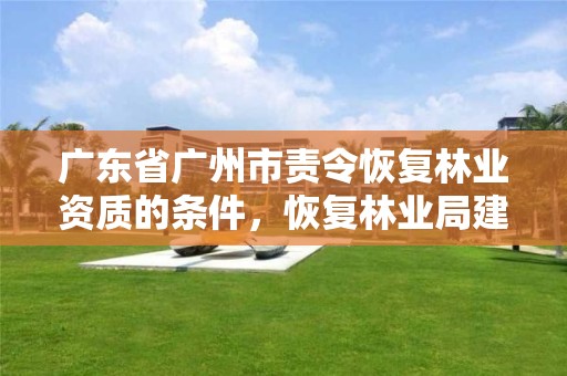 广东省广州市责令恢复林业资质的条件，恢复林业局建制