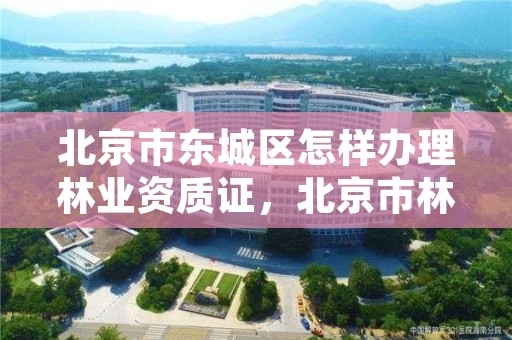 北京市东城区怎样办理林业资质证,北京市林业保护站官网