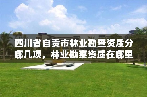 四川省自贡市林业勘查资质分哪几项,林业勘察资质在哪里申请