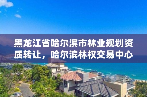 黑龙江省哈尔滨市林业规划资质转让,哈尔滨林权交易中心是真的吗