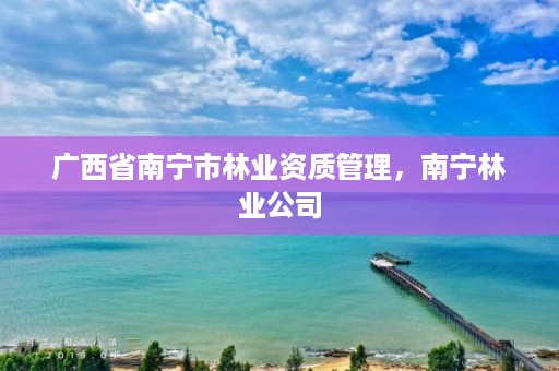 广西省南宁市林业资质管理,南宁林业公司