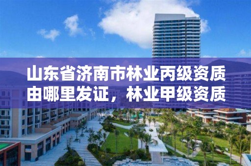 山东省济南市林业丙级资质由哪里发证,林业甲级资质