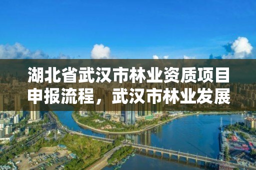 湖北省武汉市林业资质项目申报流程，武汉市林业发展有限责任公司