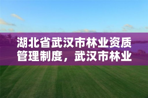 湖北省武汉市林业资质管理制度，武汉市林业集团有限公司