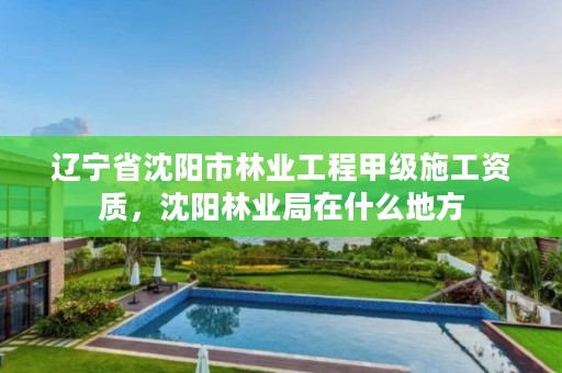 辽宁省沈阳市林业工程甲级施工资质,沈阳林业局在什么地方