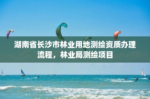 湖南省长沙市林业用地测绘资质办理流程,林业局测绘项目