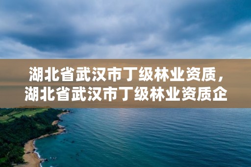湖北省武汉市丁级林业资质，湖北省武汉市丁级林业资质企业名单
