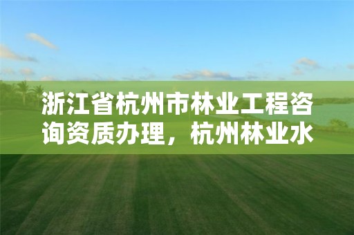 浙江省杭州市林业工程咨询资质办理，杭州林业水利投资有限公司