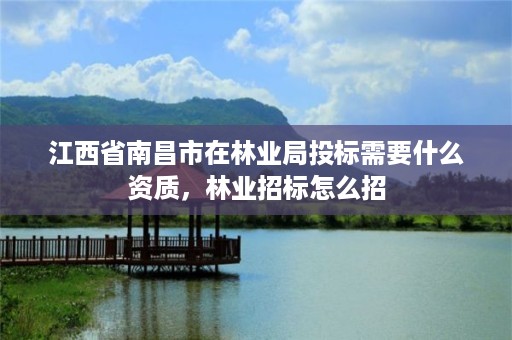 江西省南昌市在林业局投标需要什么资质,林业招标怎么招
