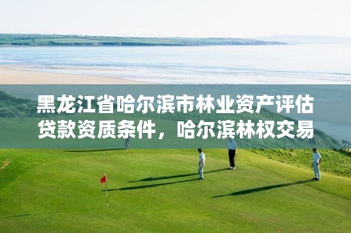 黑龙江省哈尔滨市林业资产评估贷款资质条件,哈尔滨林权交易中心是真的吗