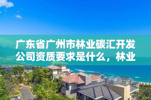 广东省广州市林业碳汇开发公司资质要求是什么，林业碳汇项目审定和核证指南
