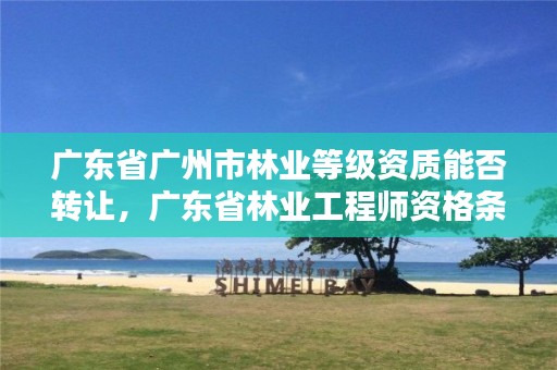 广东省广州市林业等级资质能否转让，广东省林业工程师资格条件