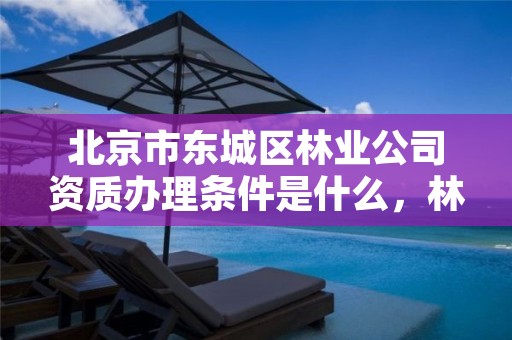 北京市东城区林业公司资质办理条件是什么,林业公司资质有哪几个