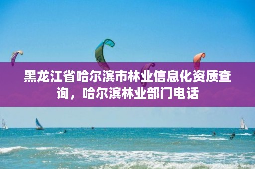黑龙江省哈尔滨市林业信息化资质查询,哈尔滨林业部门电话