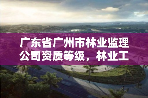 广东省广州市林业监理公司资质等级，林业工程监理资质