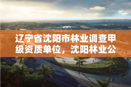 辽宁省沈阳市林业调查甲级资质单位,沈阳林业公司