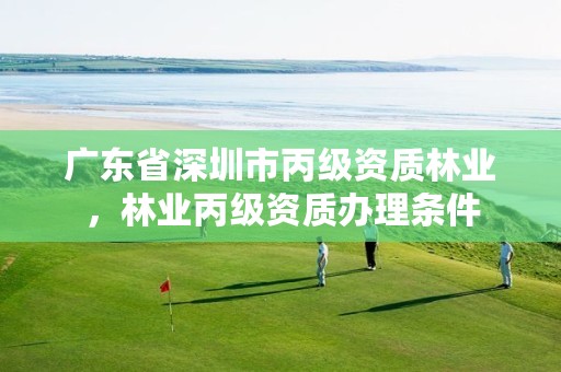 广东省深圳市丙级资质林业，林业丙级资质办理条件