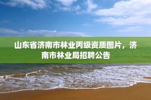山东省济南市林业丙级资质图片,济南市林业局招聘公告