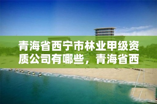 青海省西宁市林业甲级资质公司有哪些，青海省西宁市林业甲级资质公司有哪些名单