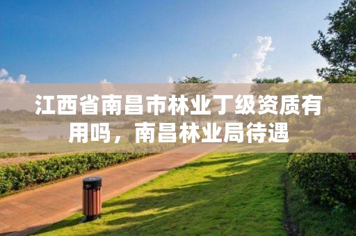 江西省南昌市林业丁级资质有用吗,南昌林业局待遇