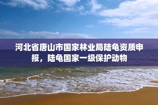 河北省唐山市国家林业局陆龟资质申报,陆龟国家一级保护动物
