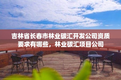 吉林省长春市林业碳汇开发公司资质要求有哪些,林业碳汇项目公司
