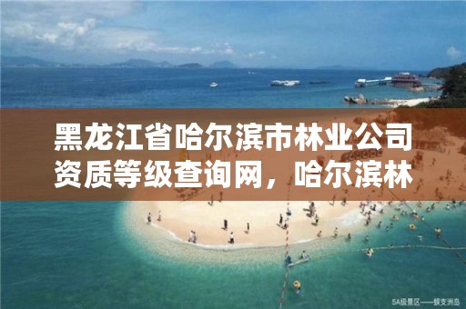 黑龙江省哈尔滨市林业公司资质等级查询网,哈尔滨林业厅地址