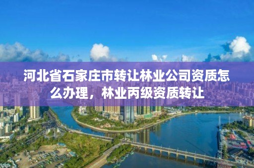 河北省石家庄市转让林业公司资质怎么办理,林业丙级资质转让