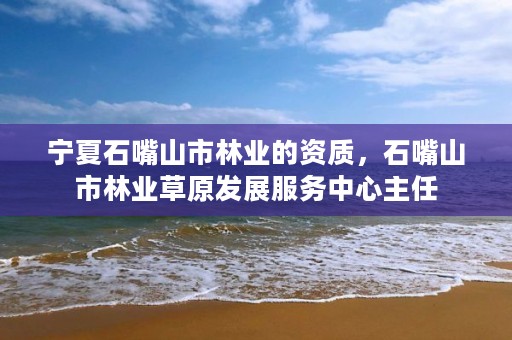 宁夏石嘴山市林业的资质,石嘴山市林业草原发展服务中心主任