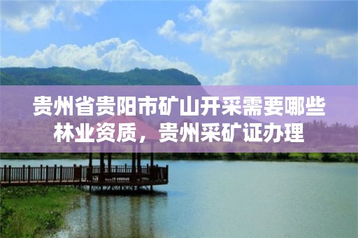 贵州省贵阳市矿山开采需要哪些林业资质,贵州采矿证办理