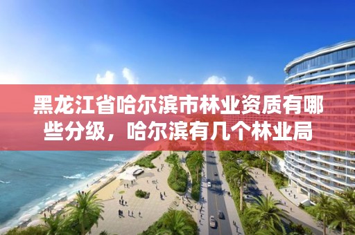 黑龙江省哈尔滨市林业资质有哪些分级,哈尔滨有几个林业局