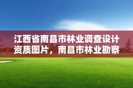 江西省南昌市林业调查设计资质图片,南昌市林业勘察设计队