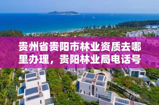贵州省贵阳市林业资质去哪里办理，贵阳林业局电话号码