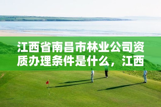 江西省南昌市林业公司资质办理条件是什么,江西省南昌市林业公司资质办理条件是什么样的