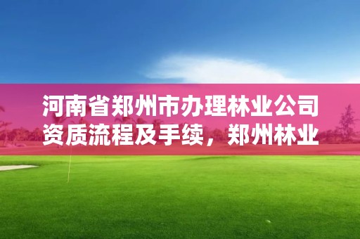 河南省郑州市办理林业公司资质流程及手续,郑州林业局在哪