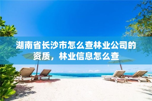 湖南省长沙市怎么查林业公司的资质，林业信息怎么查