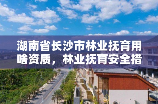 湖南省长沙市林业抚育用啥资质，林业抚育安全措施