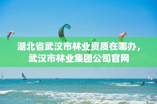 湖北省武汉市林业资质在哪办,武汉市林业集团公司官网