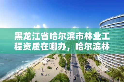 黑龙江省哈尔滨市林业工程资质在哪办,哈尔滨林业厅地址