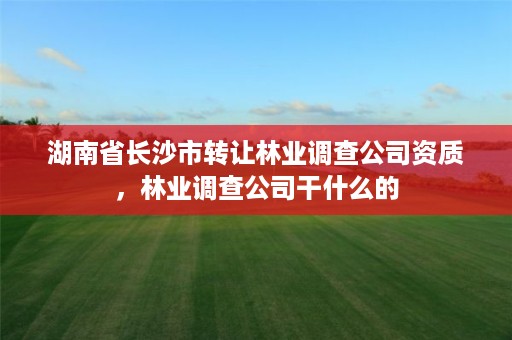 湖南省长沙市转让林业调查公司资质，林业调查公司干什么的