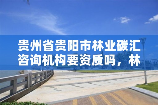 贵州省贵阳市林业碳汇咨询机构要资质吗,林业碳汇专家