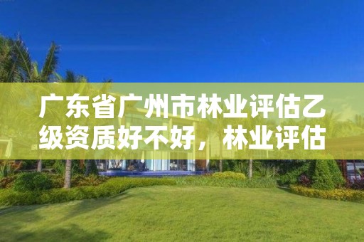 广东省广州市林业评估乙级资质好不好，林业评估公司资质