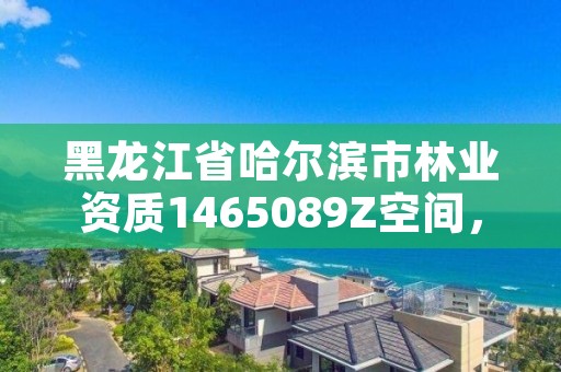 黑龙江省哈尔滨市林业资质1465089Z空间,哈尔滨林业厅官网